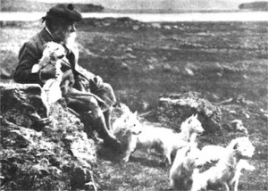 Poltalloch mit seinen Westies