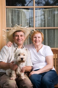 Einen Westie als Hund kaufen