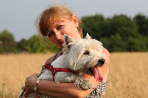 Mit Westie Deckrüden zum Züchter