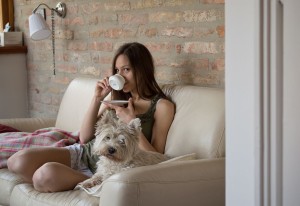 Westie Kläffer Bellen