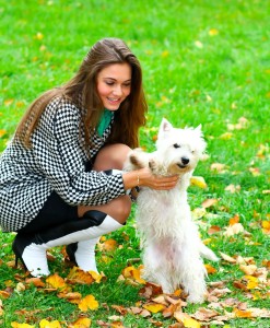 Westie in Not