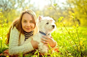 Zeckenhalsband Westie