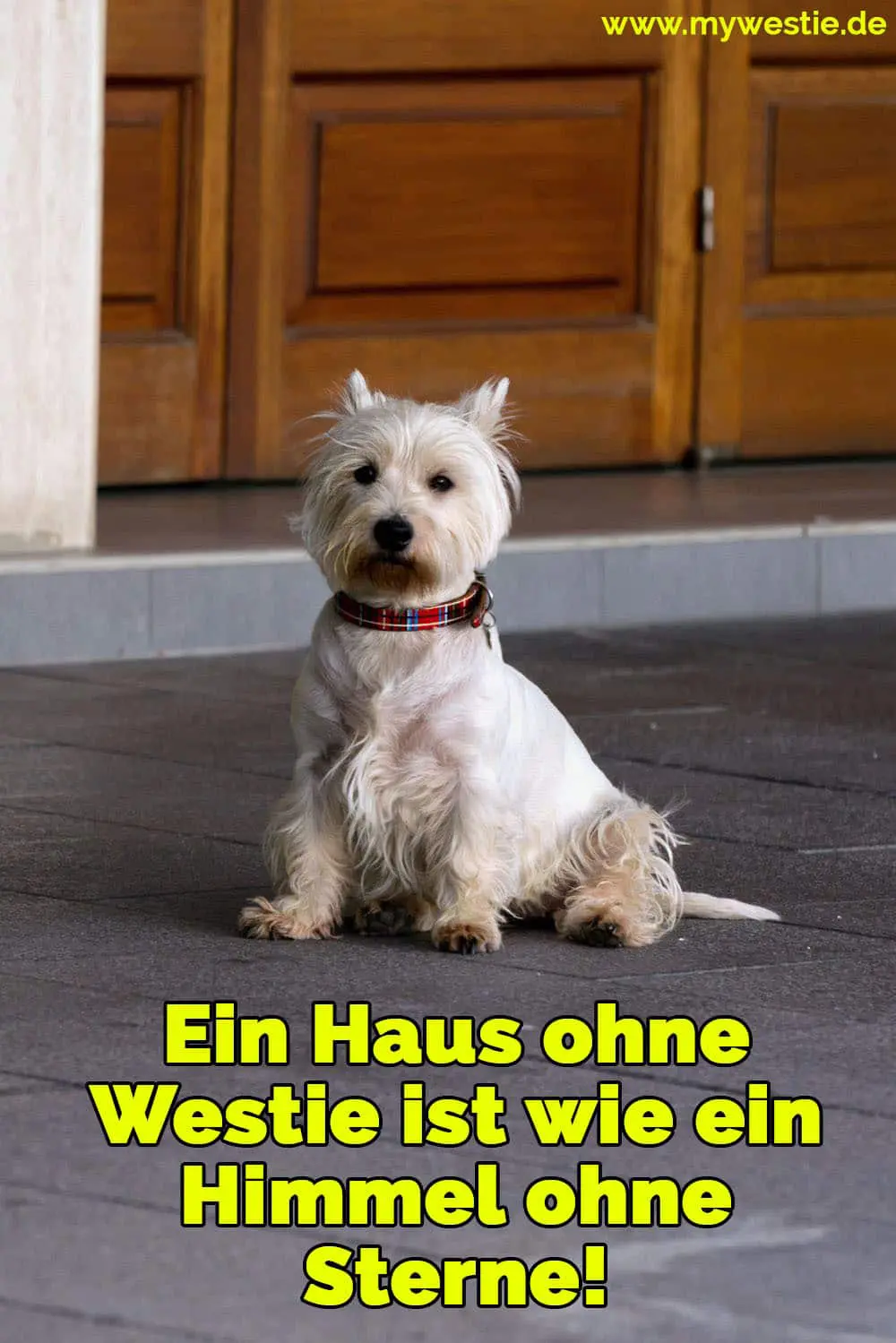 Ein Haus ohne Westie ist wie ein Himmel ohne Sterne! Ein Westie sitzt Bürgersteig aus dem Haus