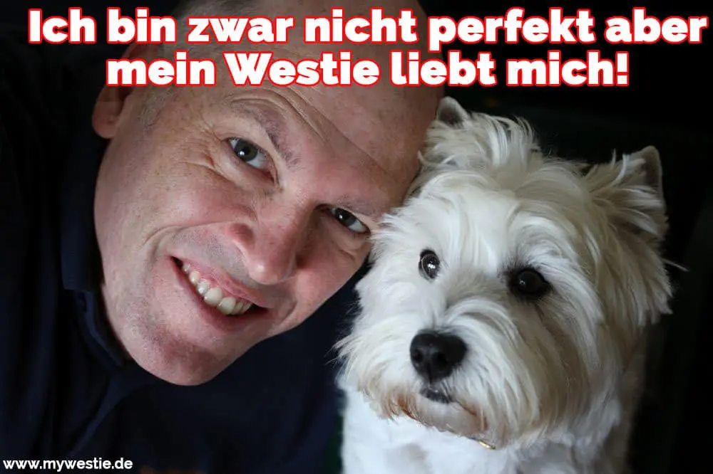 Ich bin zwar nicht perfekt aber mein Westie liebt mich! Ein schöner Westie und sein Besitzer