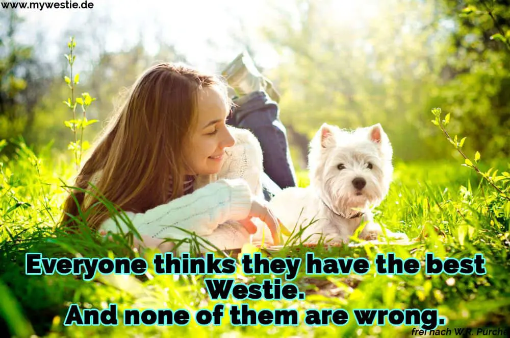 Everyone thinks they have the best Westie. And none of them are wrong. Eine Frau, die mit ihrem Westie auf dem Rasen liegt