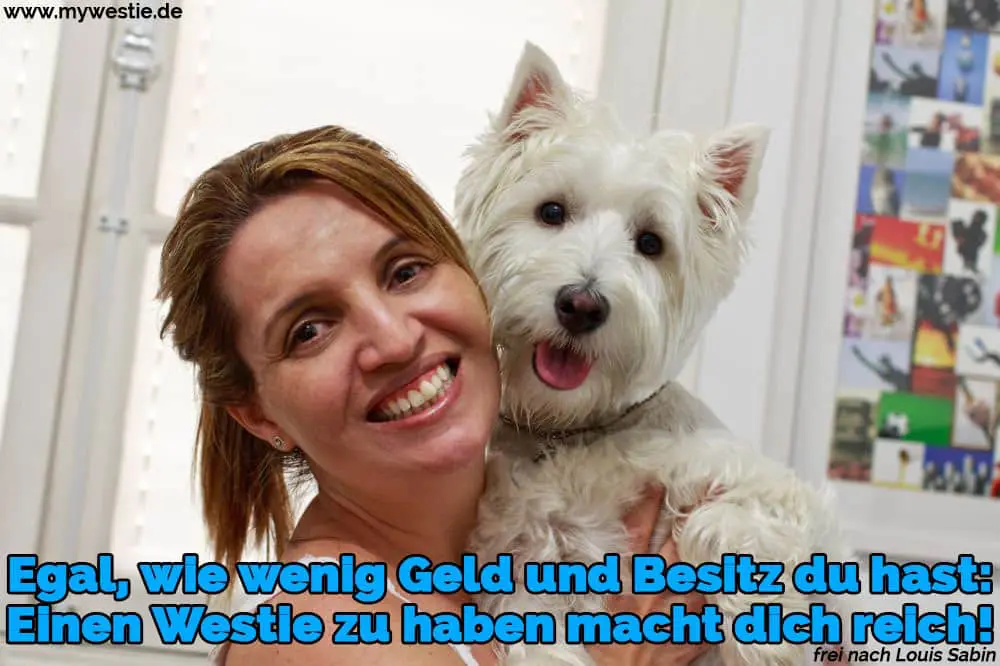 Egal, wie wenig Geld und Besitz du hast: Einen Westie zu haben macht dich reich! Glückliche brasilianische Frau Besitzer ihrer Westie.