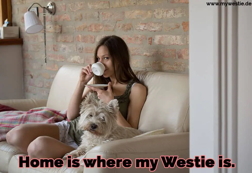 Home is where my Westie is. Eine Frau sitzt auf dem Sofa mit ihrem Westie