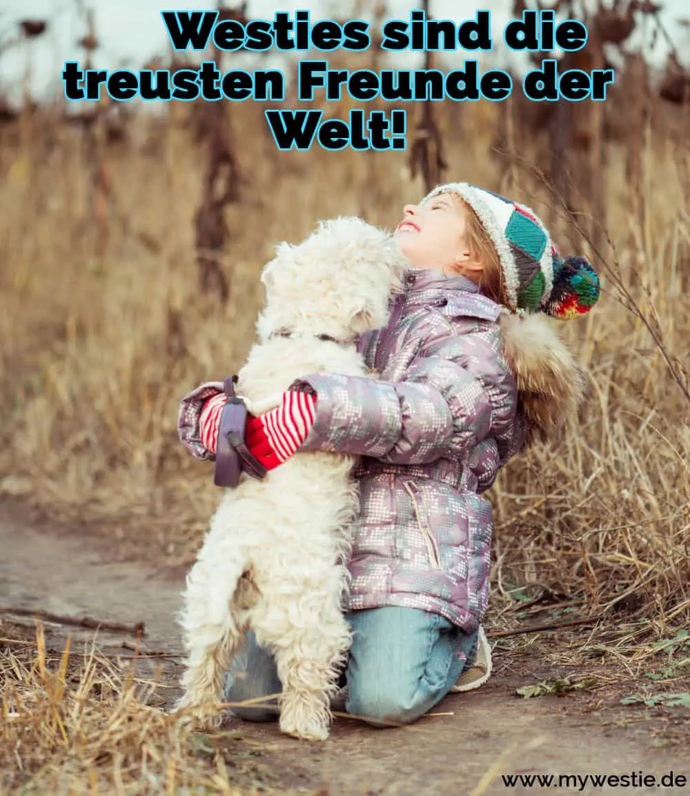 Westies sind die treusten Freunde der Welt! Ein Mädchen umarmt ihr Westie