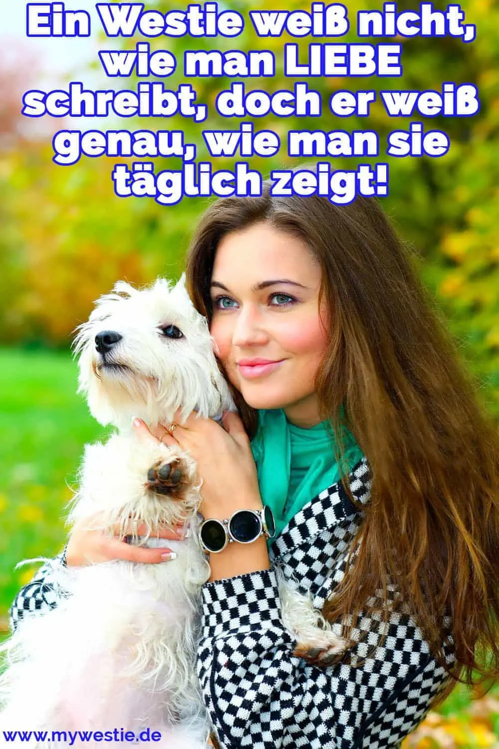 Ein Westie weiß nicht, wie man LIEBE schreibt, doch er weiß genau, wie man sie täglich zeigt! Eine Frau umarmt ihre Westie
