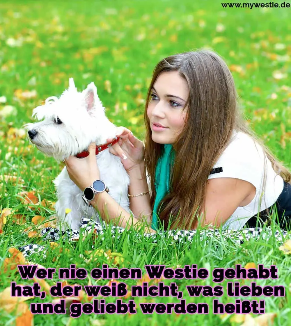 Wer nie einen Westie gehabt hat, der weiß nicht, was lieben und geliebt werden heißt! Eine Frau umarmt ihre Westie