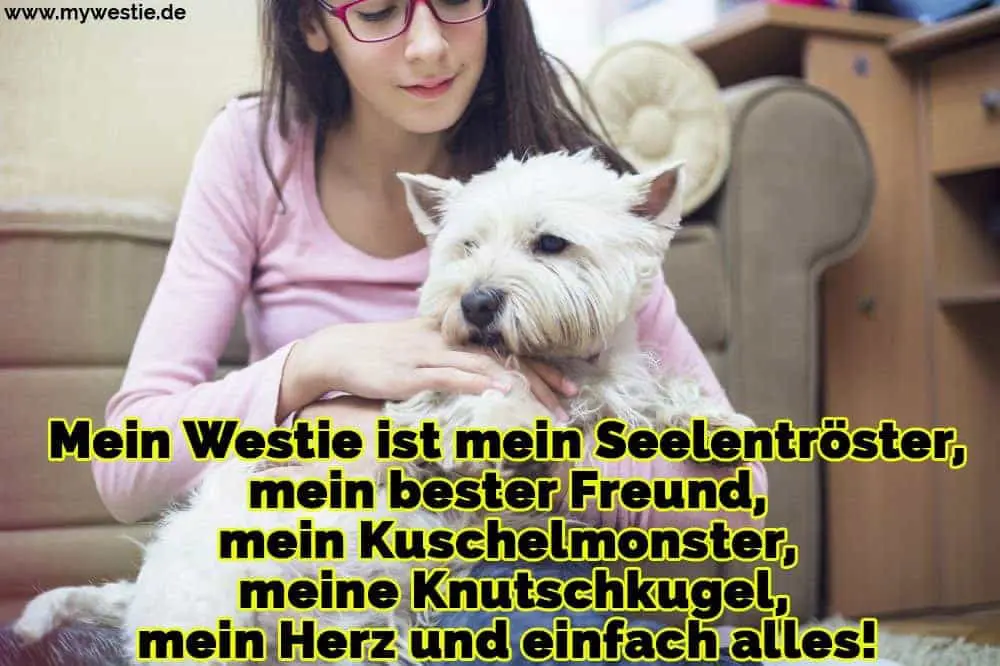 Mein Westie ist mein Seelentröster, mein bester Freund, mein Kuschelmonster, meine Knutschkugel, mein Herz und einfach alles! Ein Mädchen streichelt ihre Westie