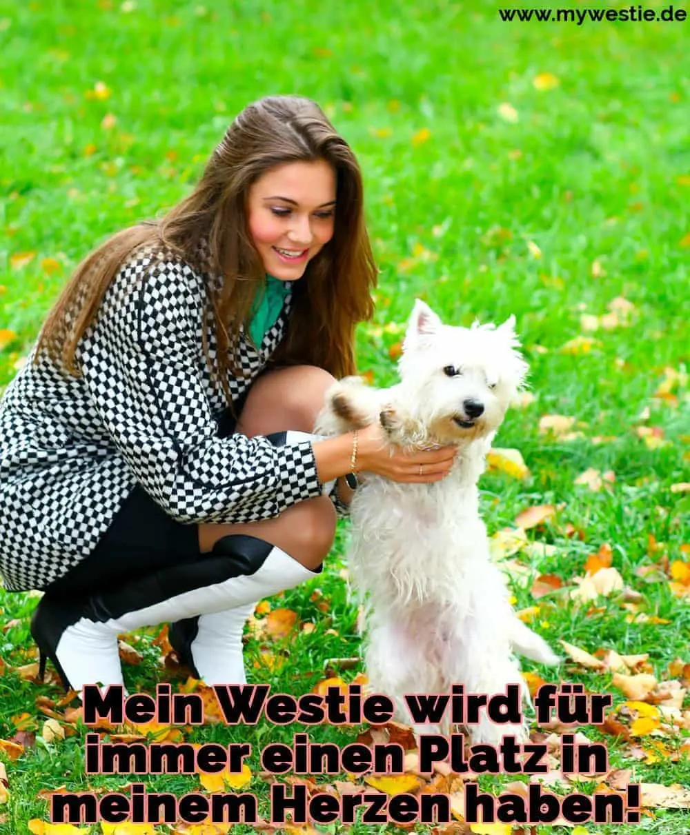 Mein Westie wird für immer einen Platz in meinem Herzen haben! Eine Frau streichelt ihre Westie