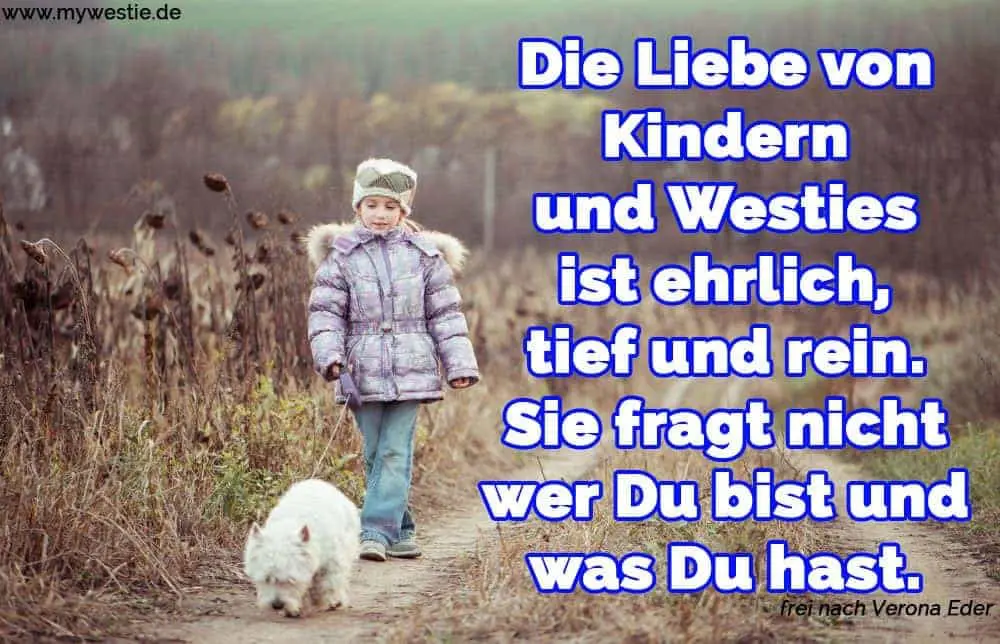 Die Liebe von Kindern und Westies ist ehrlich, tief und rein. Sie fragt nicht wer Du bist und was Du hast. Ein Mädchen nimmt ihren Westie zum Spazieren