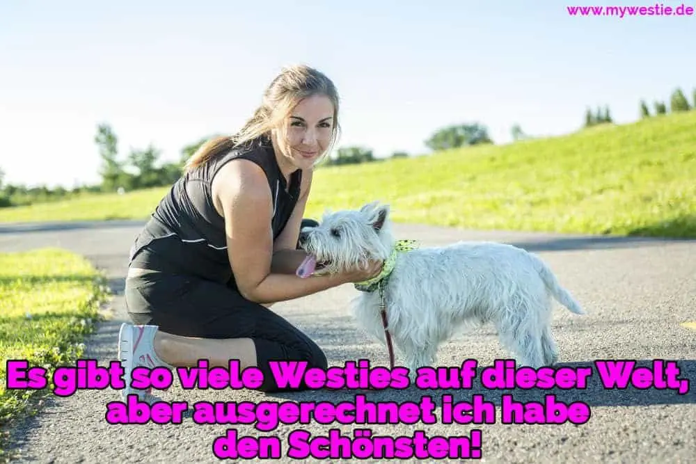 Es gibt so viele Westies auf dieser Welt, aber ausgerechnet ich habe den Schönsten! Eine schöne junge Frau Joggen mit ihrem Hund