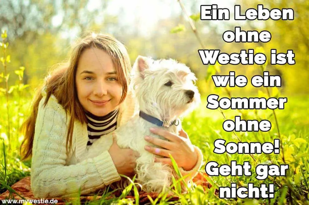 Eine Frau umarmt ihre Westie