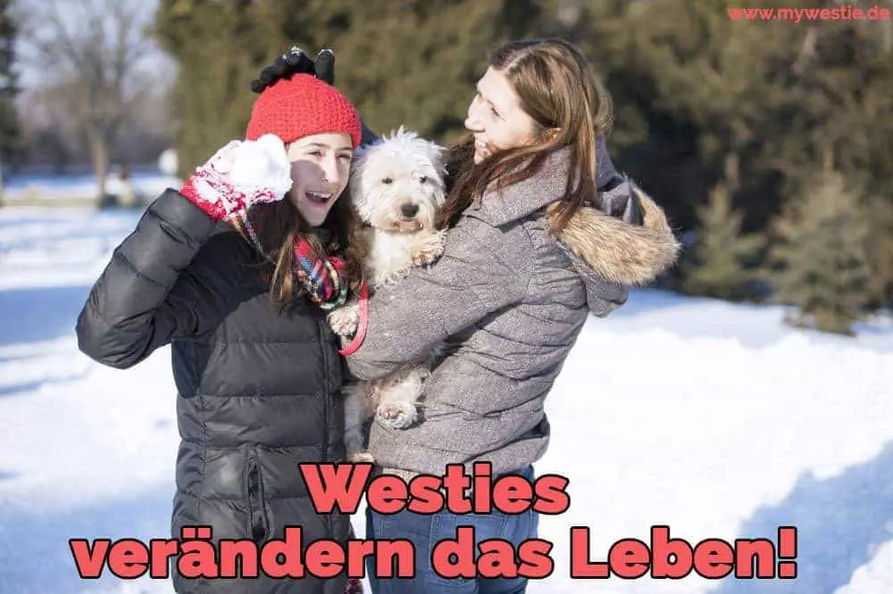 Westies verändern das Leben! Zwei Frauen spielen mit ihrem Westie im Schnee