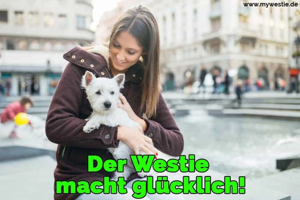 Der Westie macht glücklich! Eine Frau streichelt ihre Westie