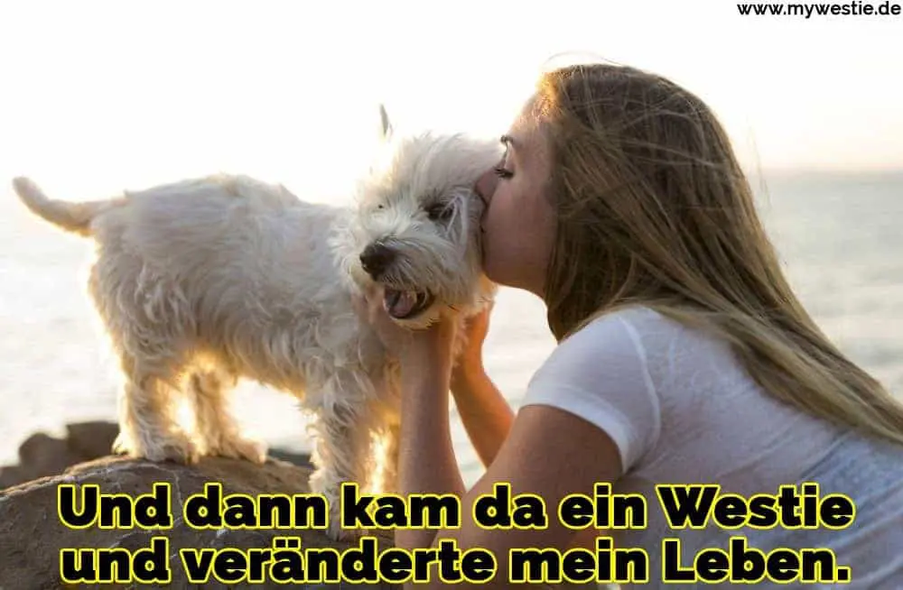 Und dann kam da ein Westie und veränderte mein Leben. Ein Mädchen küsst ihr Westie