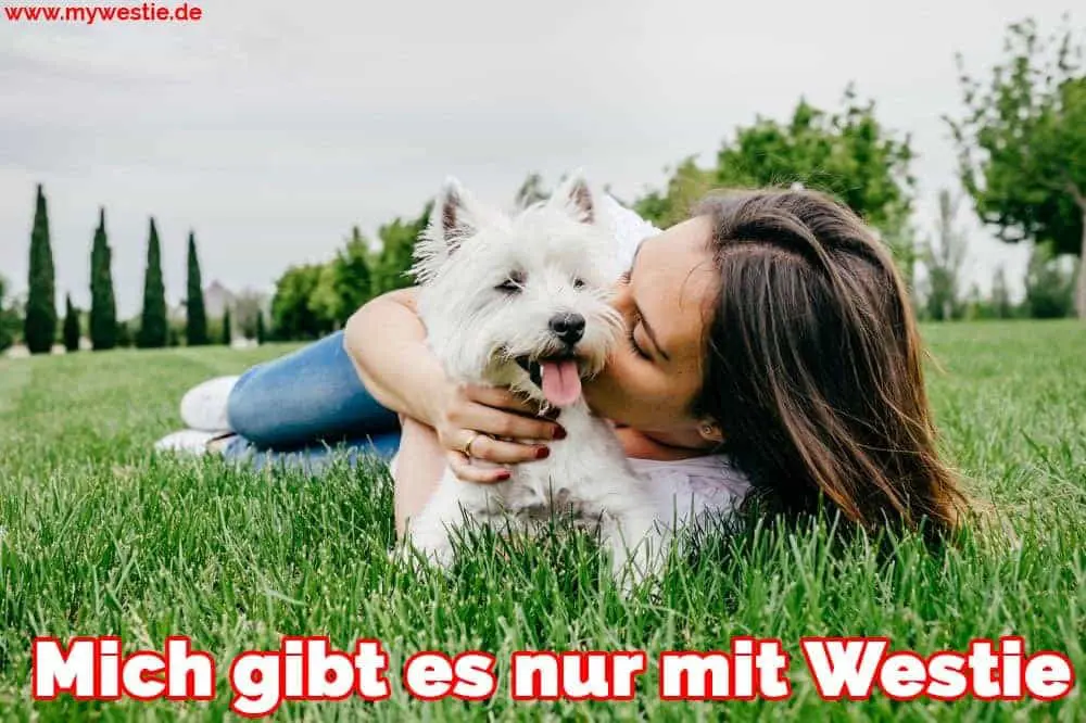 Mich gibt es nur mit Westie Eine Frau küsst ihre Westie