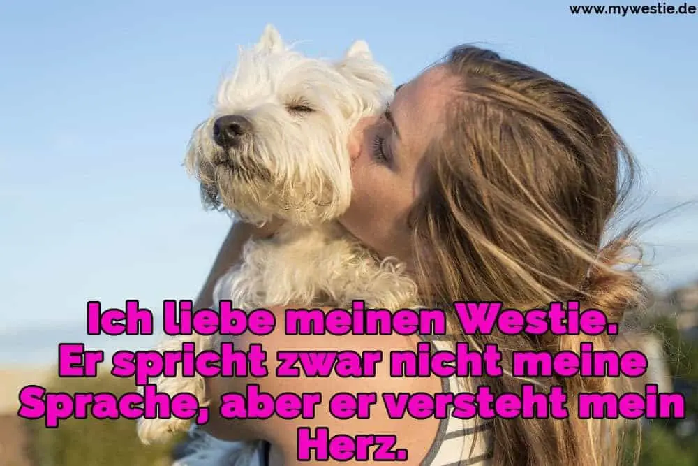 Ich liebe meinen Westie. Er spricht zwar nicht meine Sprache, aber er versteht mein Herz. Ein Mädchen küsst ihr Westie