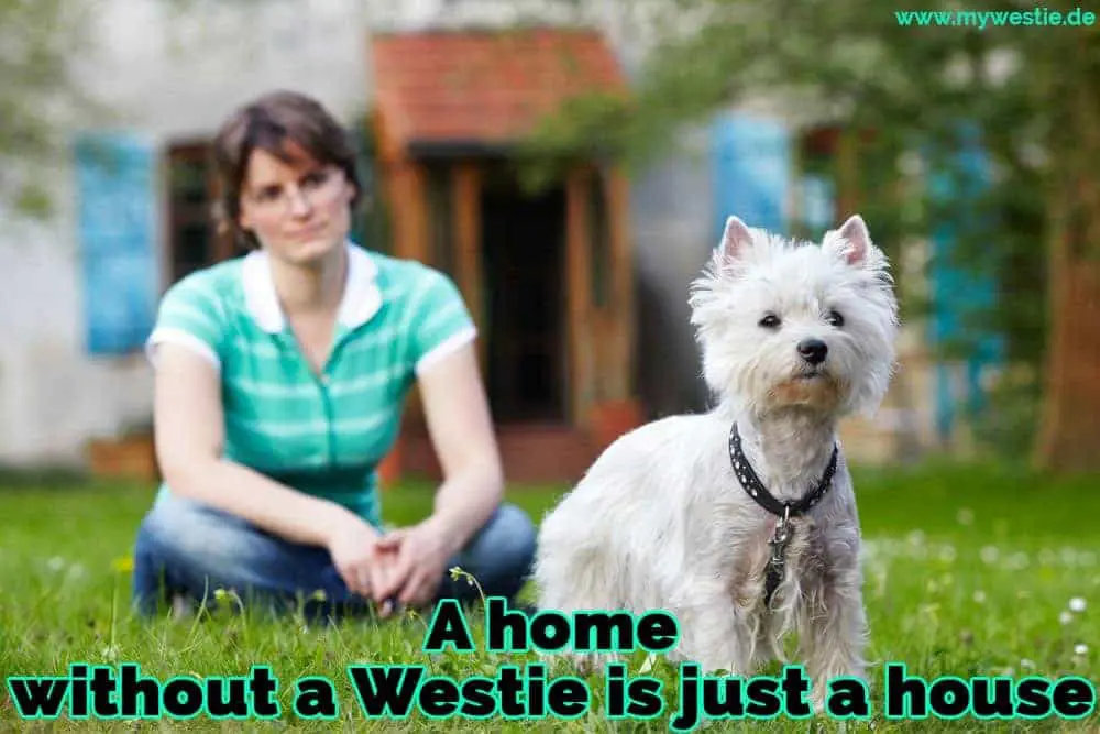 A home without a Westie is just a house Eine Frau sitzt auf dem Gras mit ihrem Westie