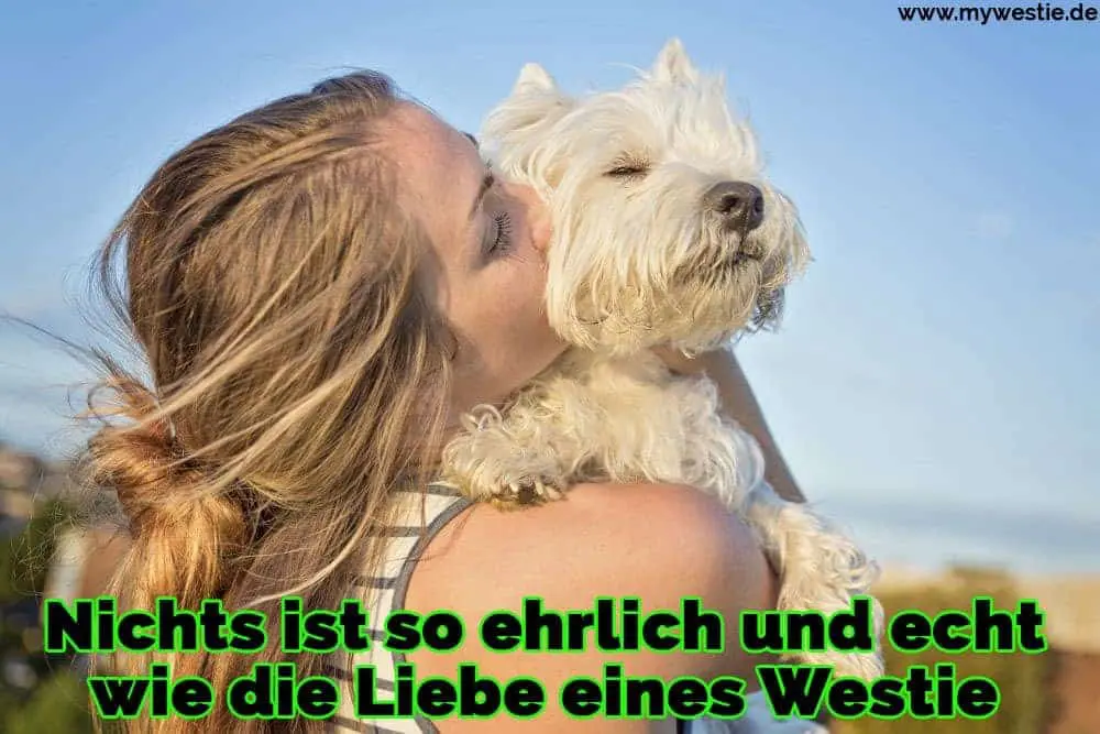 Nichts ist so ehrlich und echt wie die Liebe eines Westie Eine Frau küsst ihre Westie