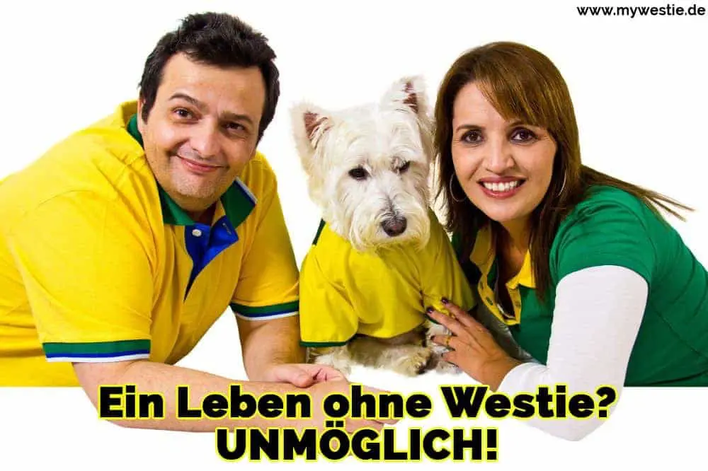 Ein Leben ohne Westie? UNMÖGLICH! Ein Paar mit ihrem Westie auf dem Boden liegen