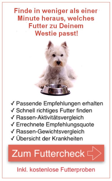 Futter für Westie