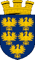 Westie Züchter und Welpen in Niederösterreich