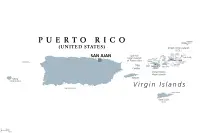 Westie Züchter in Puerto Rico,Estado Libre Asociado de Puerto Rico Westie Züchter in Puerto Rico,Estado Libre Asociado de Puerto Rico
