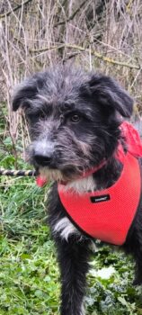 Bri sucht eine liebe Familie